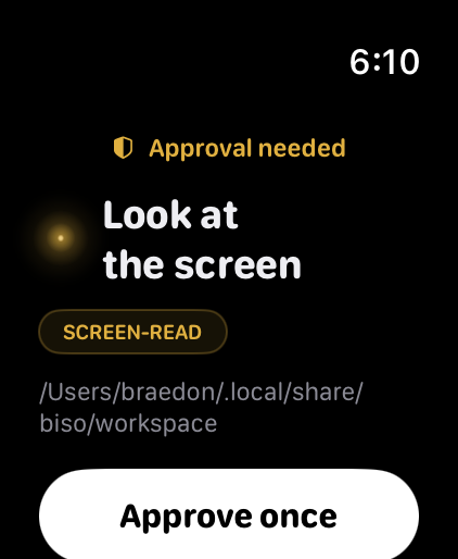 An approval card on Apple Watch: 'Look at the screen', class screen-read, Approve once